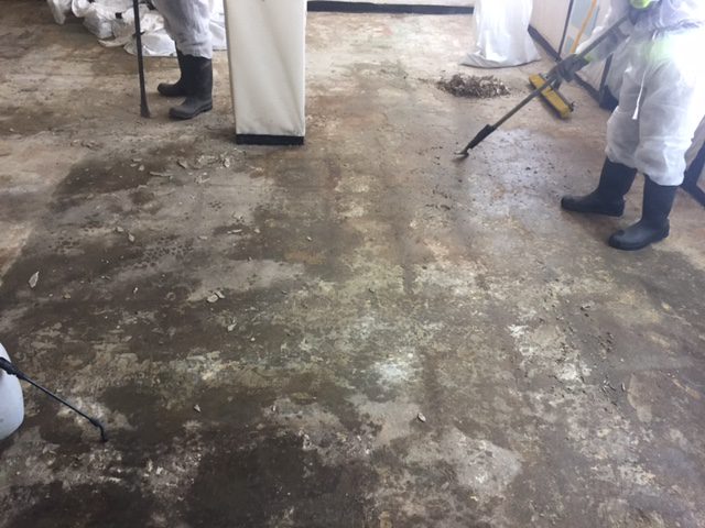 Asbestos Removal