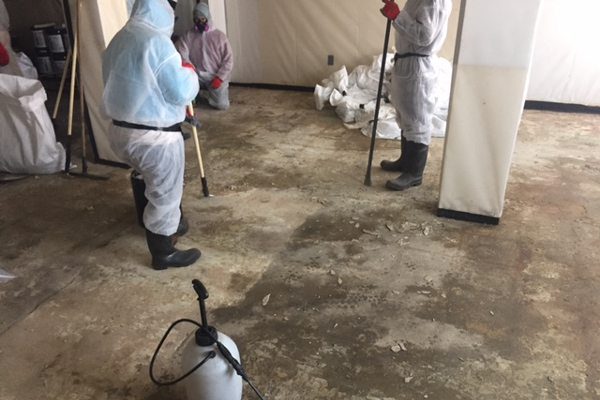 Asbestos in Clemmons