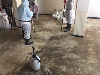 Asbestos Abatement in Greensboro, North Carolina